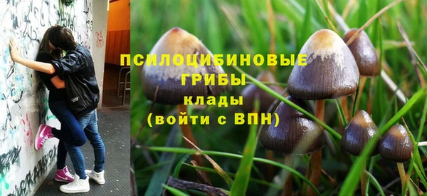 МДПВ Покачи