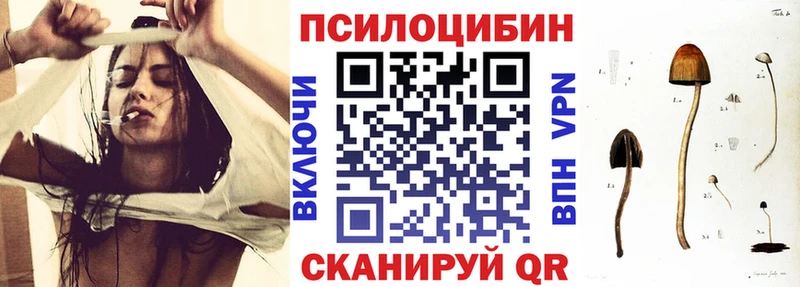 Псилоцибиновые грибы мухоморы купить наркоту Тихвин