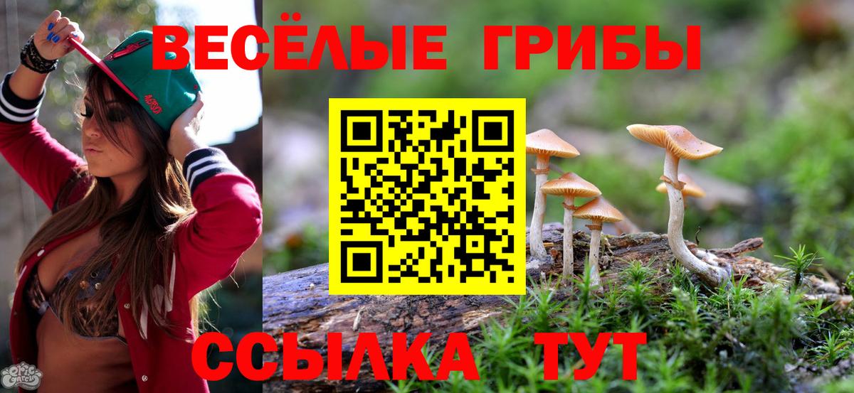 Галлюциногенные грибы MAGIC MUSHROOMS Тихвин
